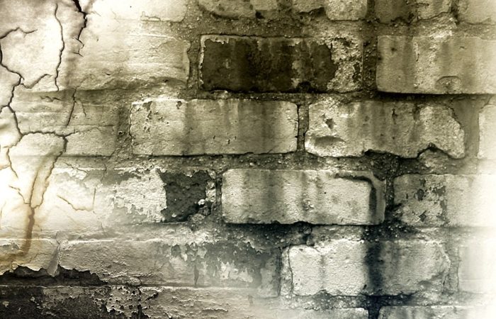 marketting,web design,graphic design