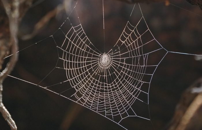 marketting,web design,graphic design