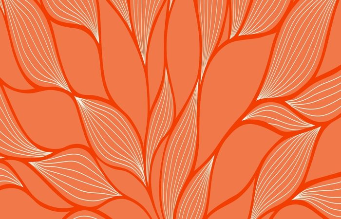 marketting,web design,graphic design