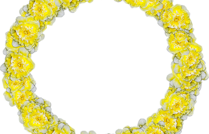 marketting,web design,graphic design