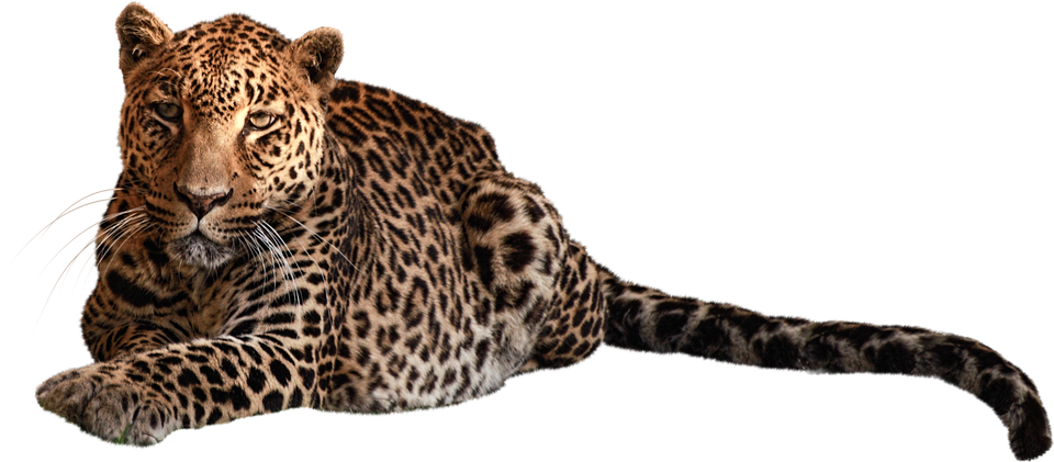 marketting,web design,graphic design