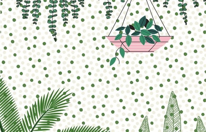 marketting,web design,graphic design