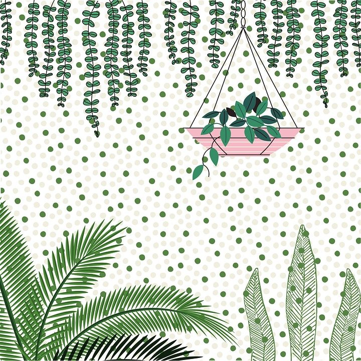 marketting,web design,graphic design