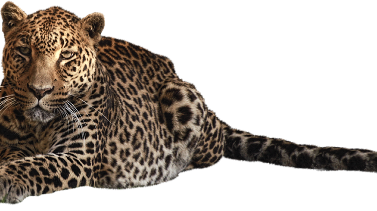 marketting,web design,graphic design