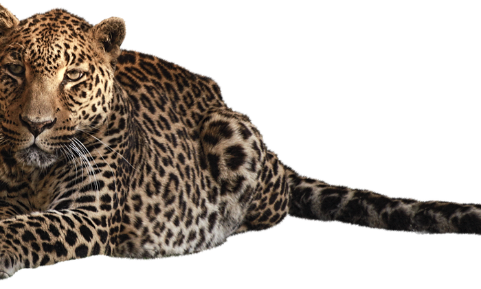 marketting,web design,graphic design