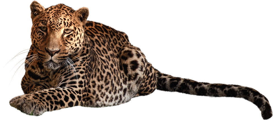 marketting,web design,graphic design