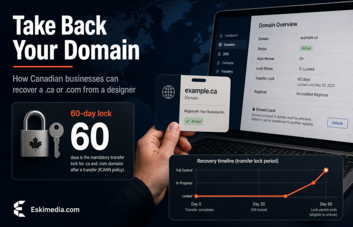 A Canadian business owner regaining control of a domain name after a web designer stopped responding, with a focus on the 60-day transfer lock and domain ownership.